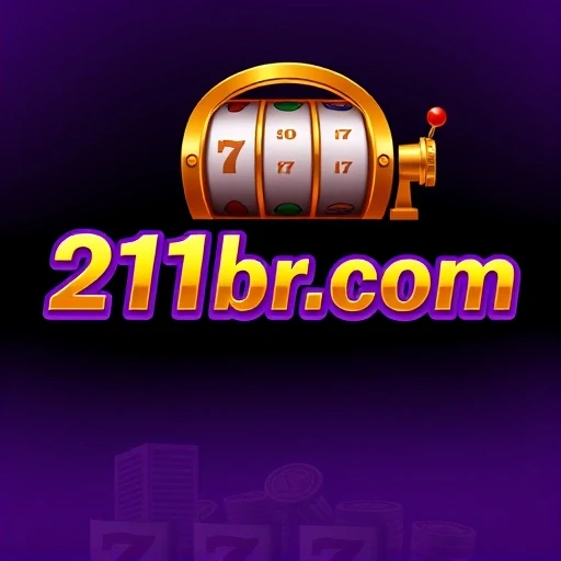 211br.com